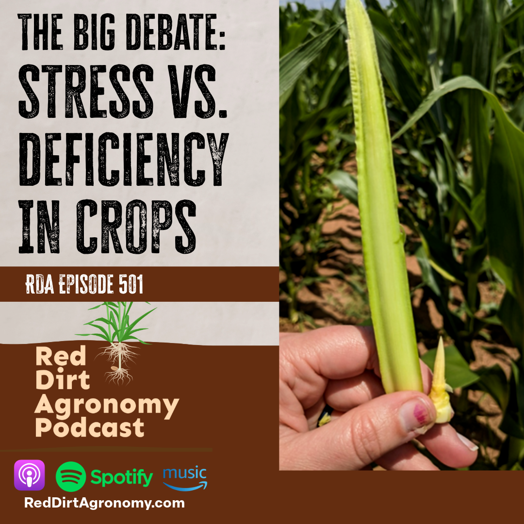 Podcast cover about stress vs. deficiency in crops, showing a corn leaf held in a field