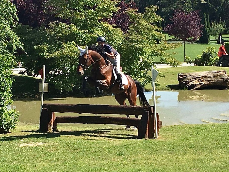 cavallo che salta un ostacolo blu