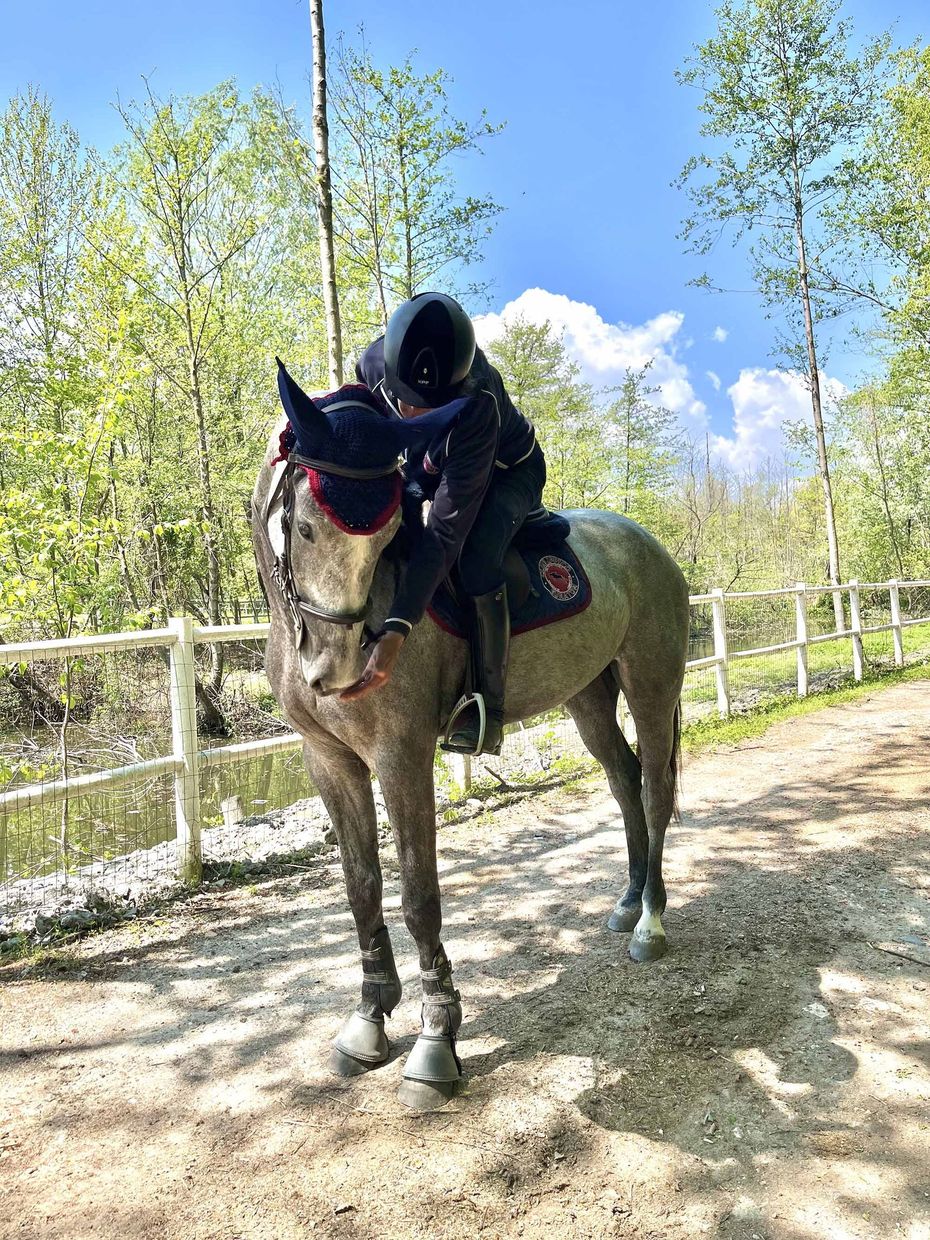 bambina che dà da mangiare a un cavallo