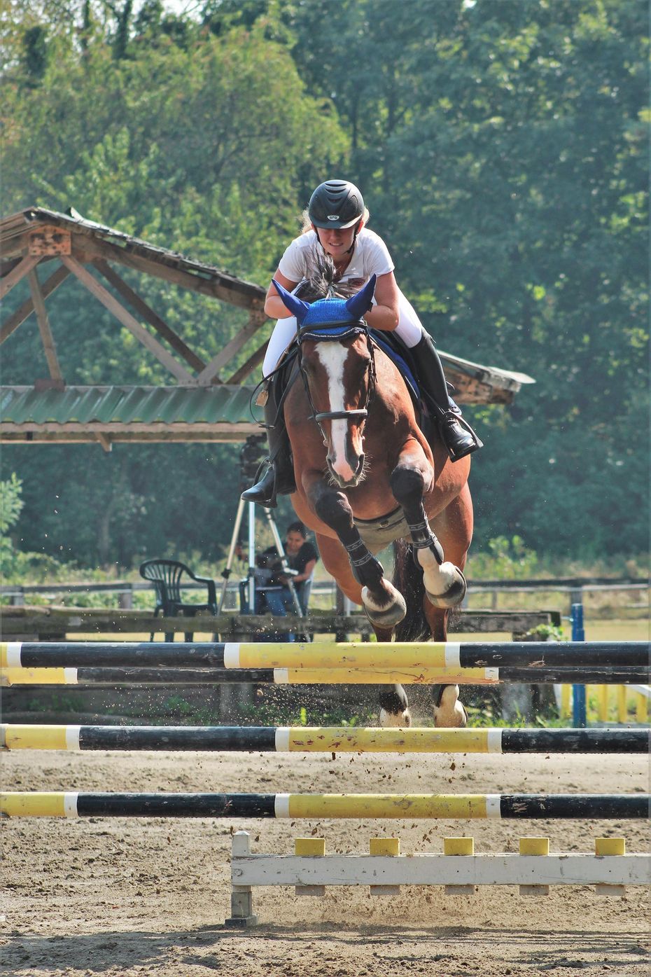 cavallo marrone con fantino