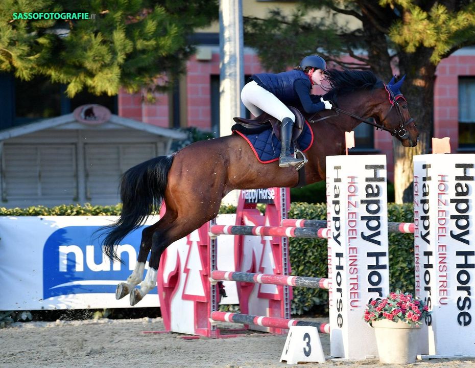 cavallo marrone con fantino