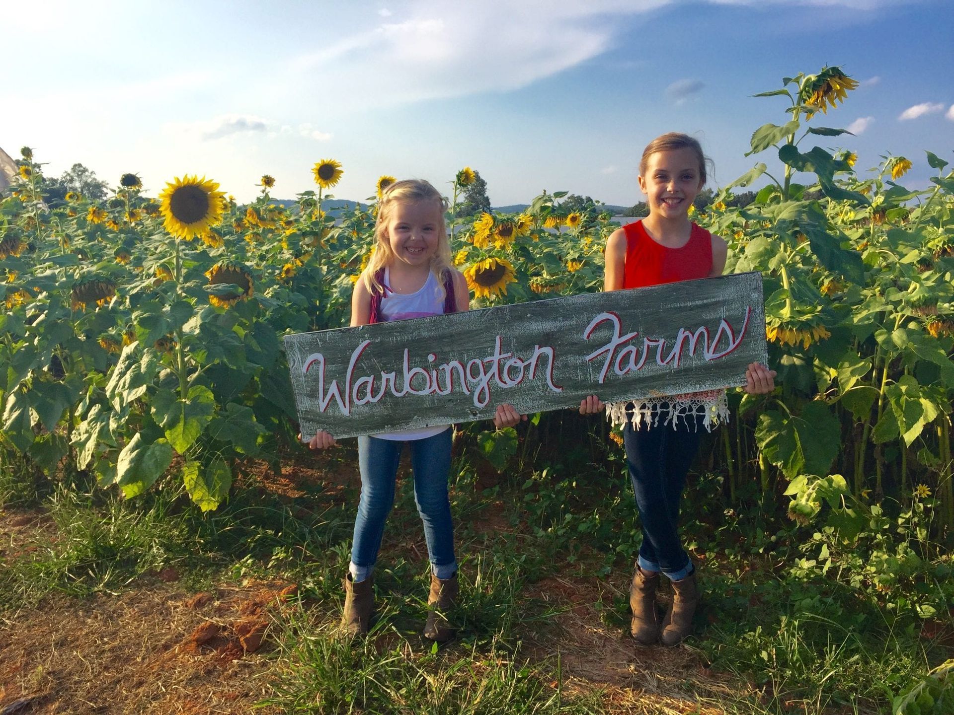 Two children holding a chalkboard sign in a sunflower field under a blue sky