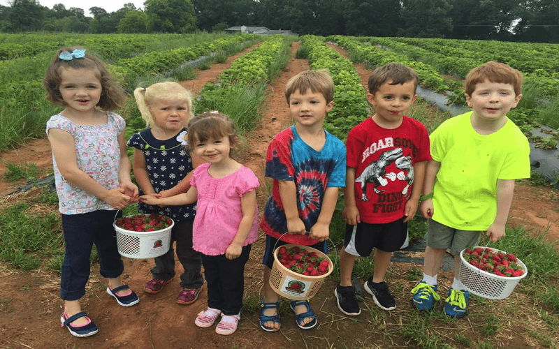Six children holding buckets of berries stand in a garden row outdoors.