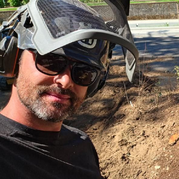Best Stump Grinding in Portland