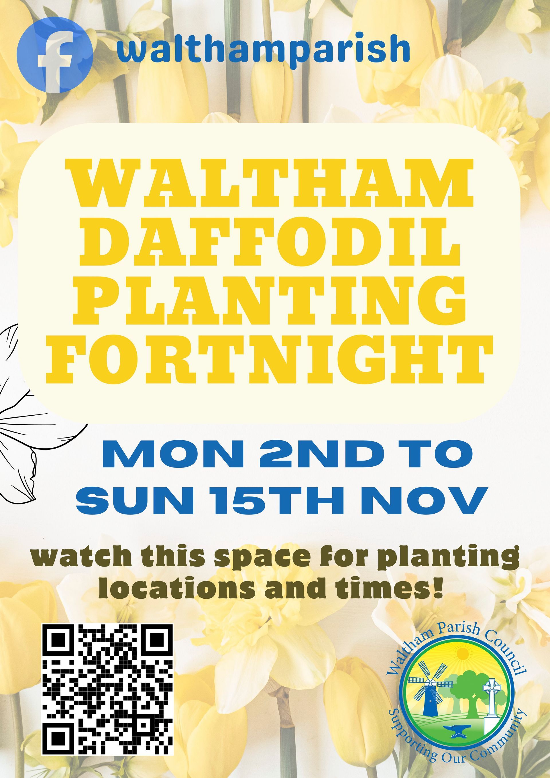 Daffodil Planting Fortnight