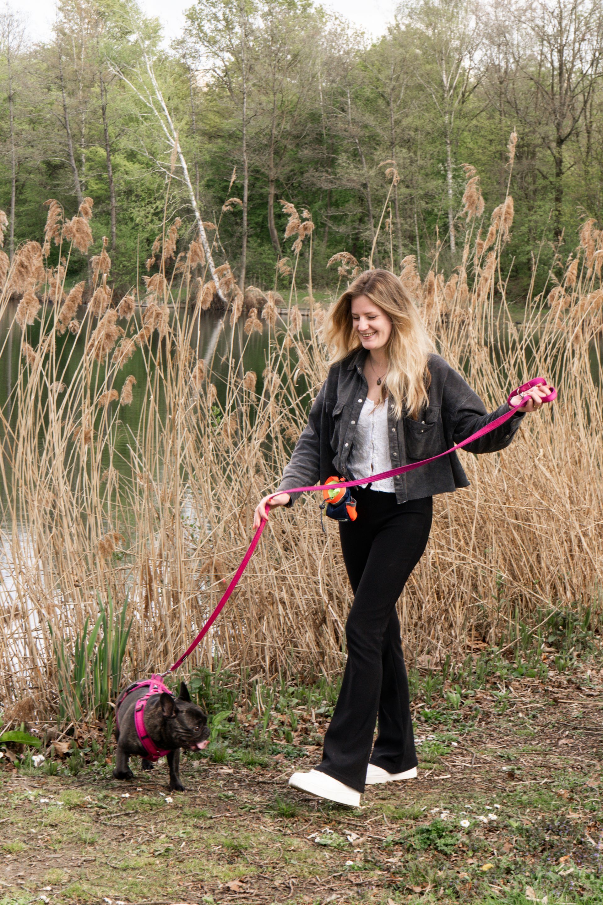A friendly French Bulldog named Luna ready for a walk in Eindhoven.