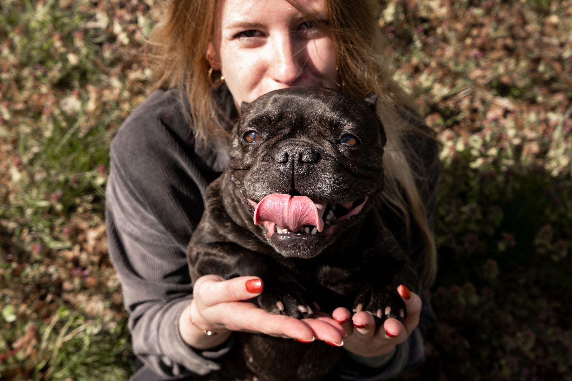 Happy pet at home