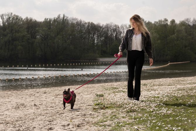 Hondenwandeling met Luna Tailored Pet Care