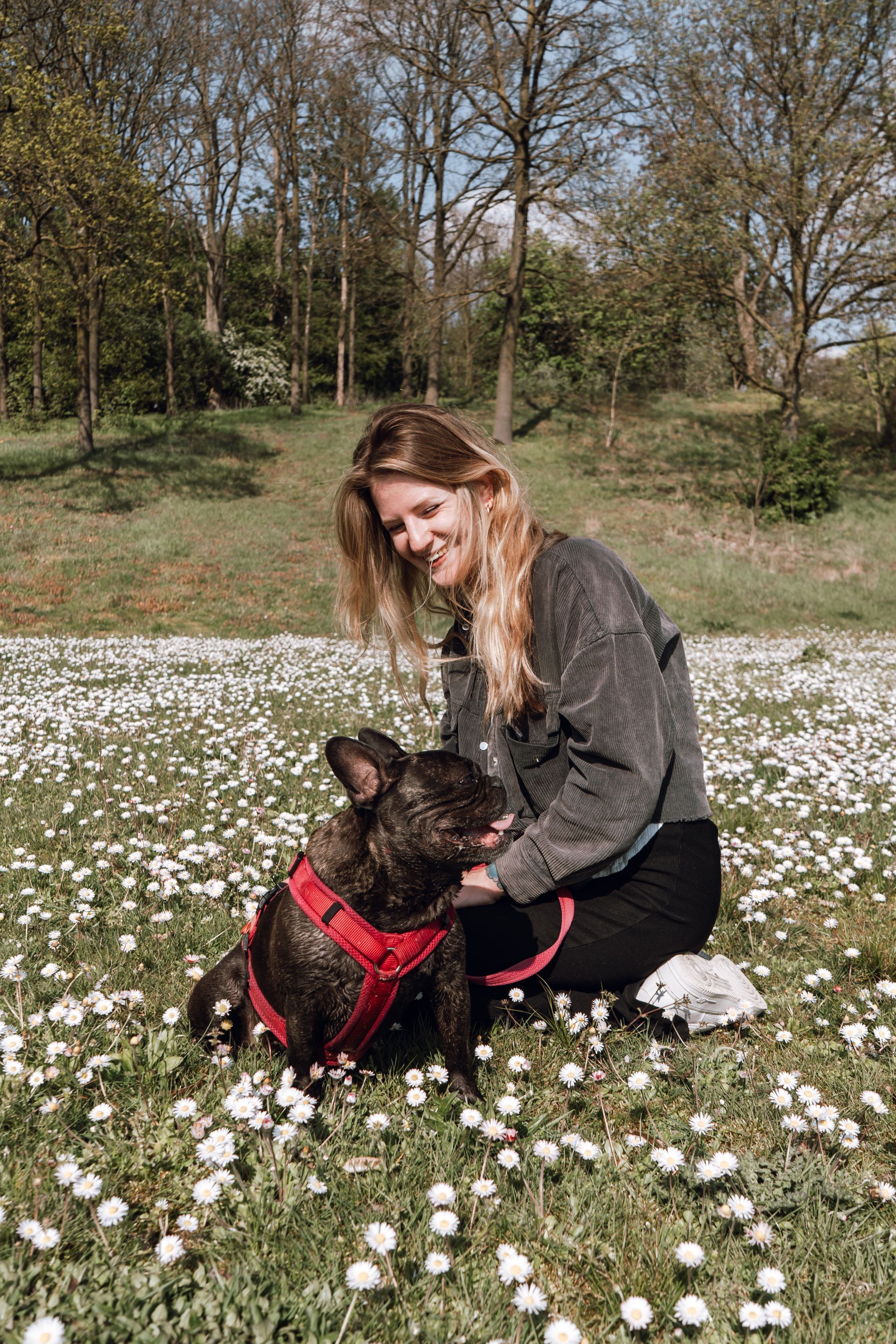 Luna Tailored Pet Care and Luna in a flower field