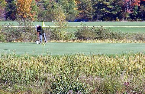 A man is playing golf on a green field.