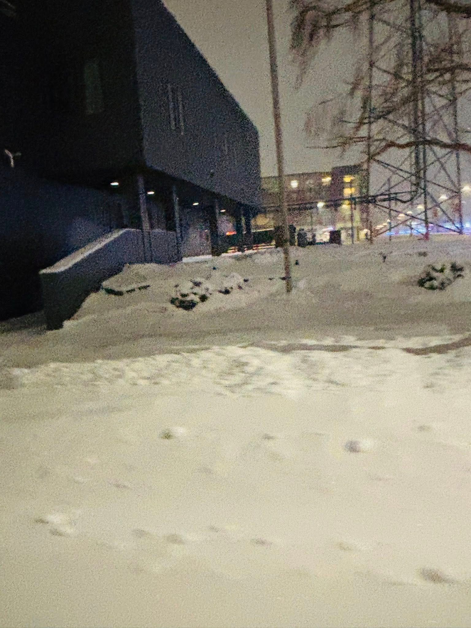 Snow-covered street beside a dark building at night, with a bare tree and distant lights.