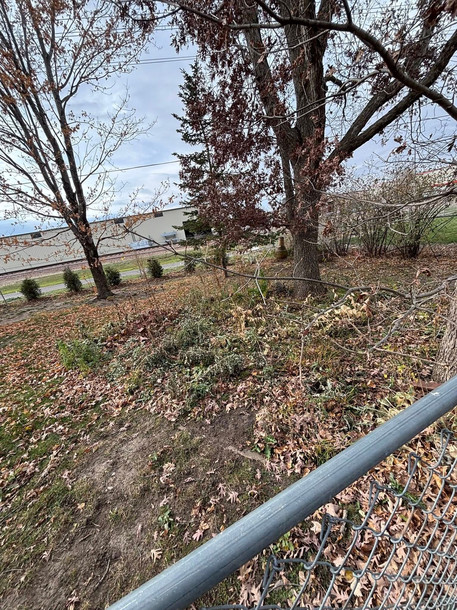 Leaf-covered hillside with bare trees and a metal railing overlooking a distant landscape