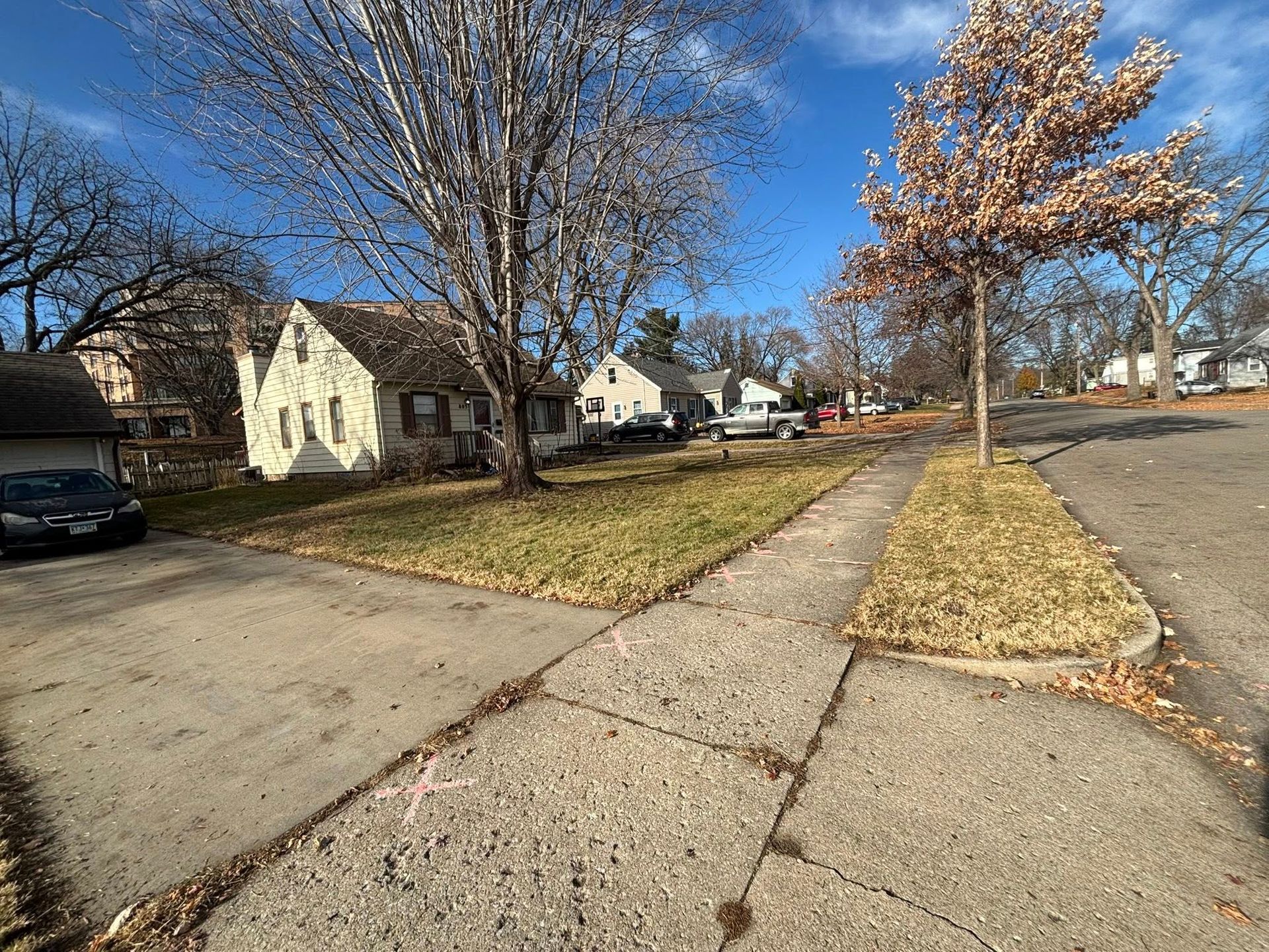 Residential sidewalk lined with bare trees and houses on a sunny suburban street
