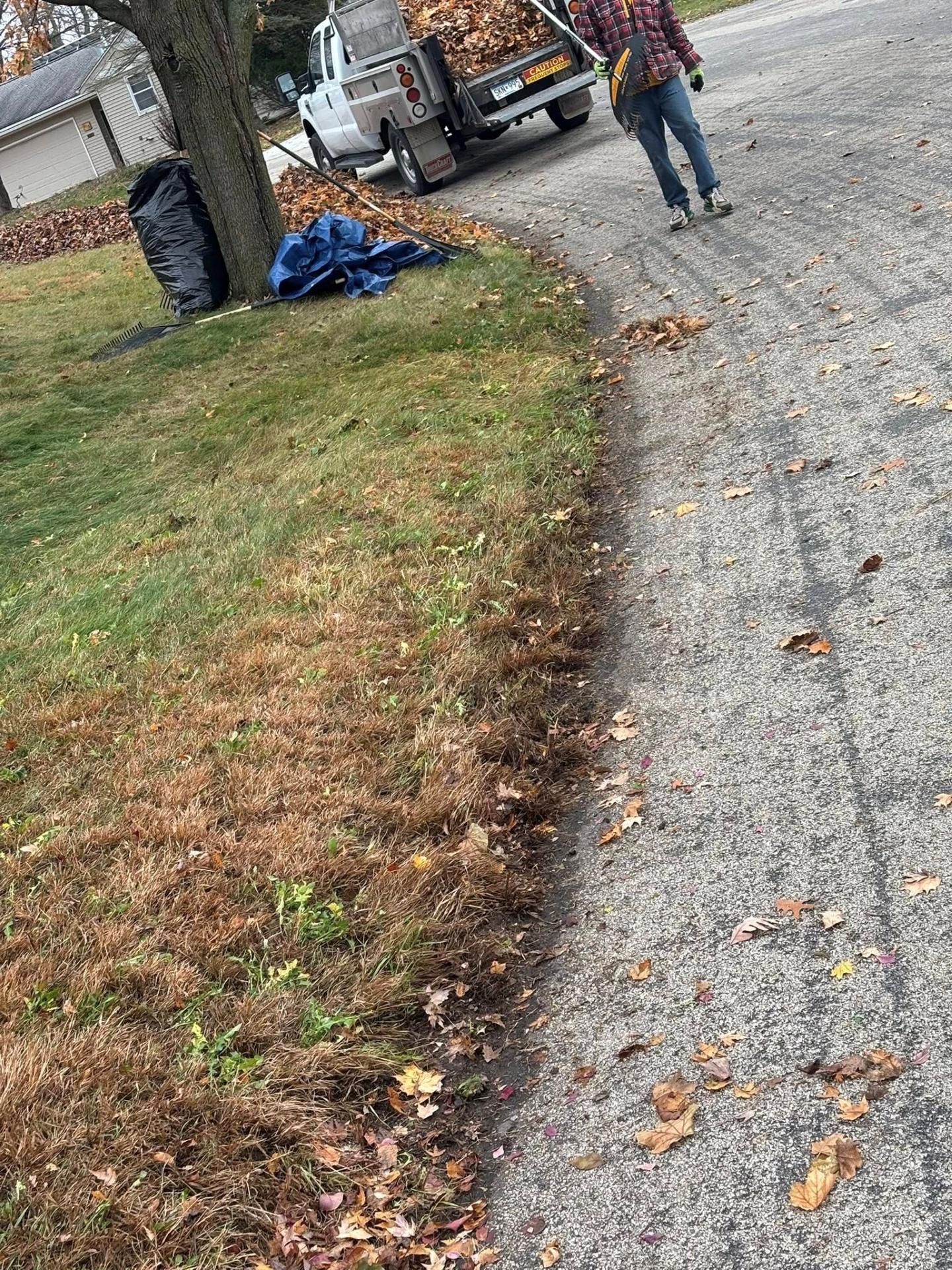 Curving driveway with fallen leaves, a blue tarp by a tree, and two people near a parked pickup truck.