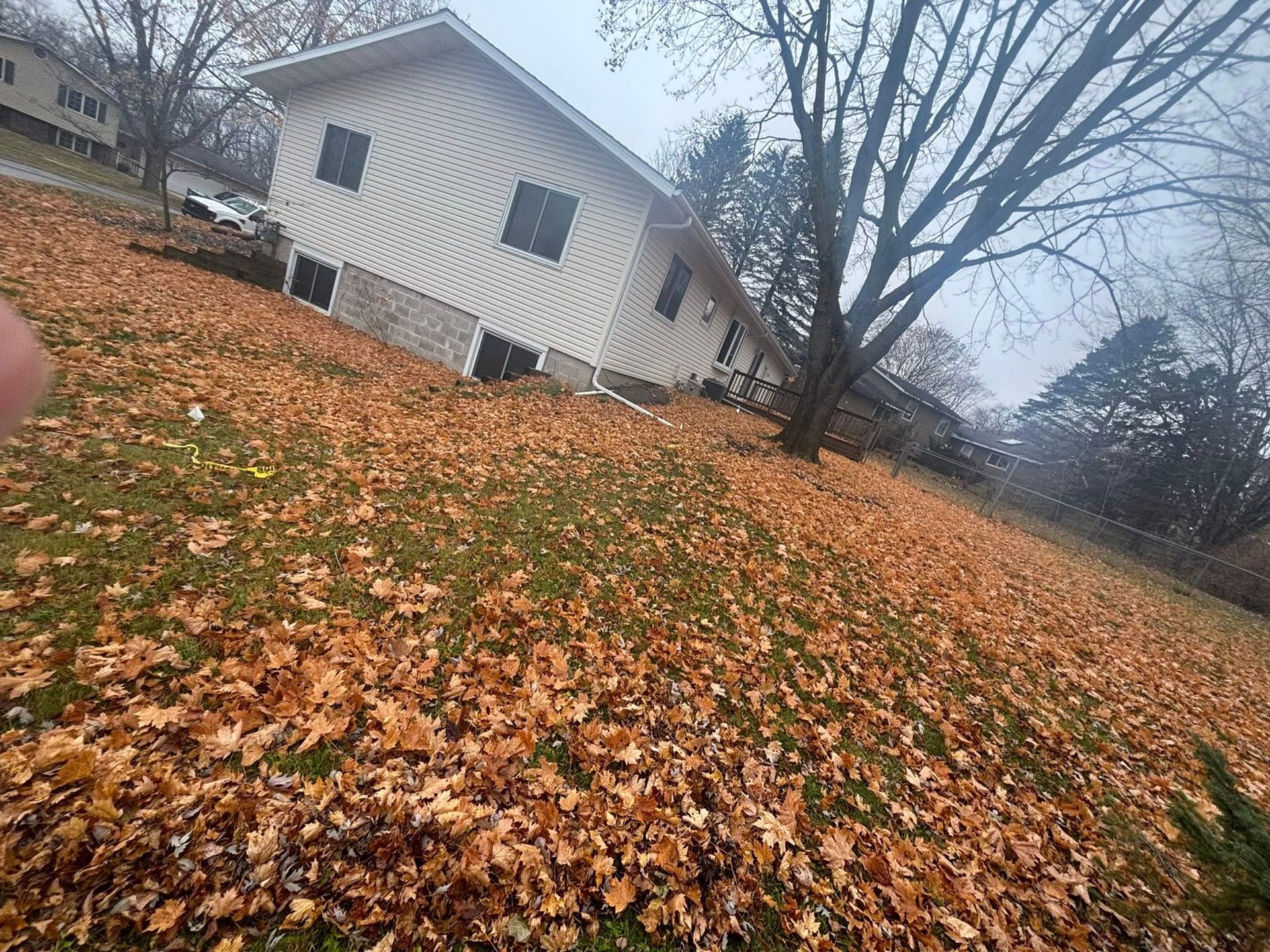 Leaning white house beside a large bare tree, covered by a carpet of fallen autumn leaves.