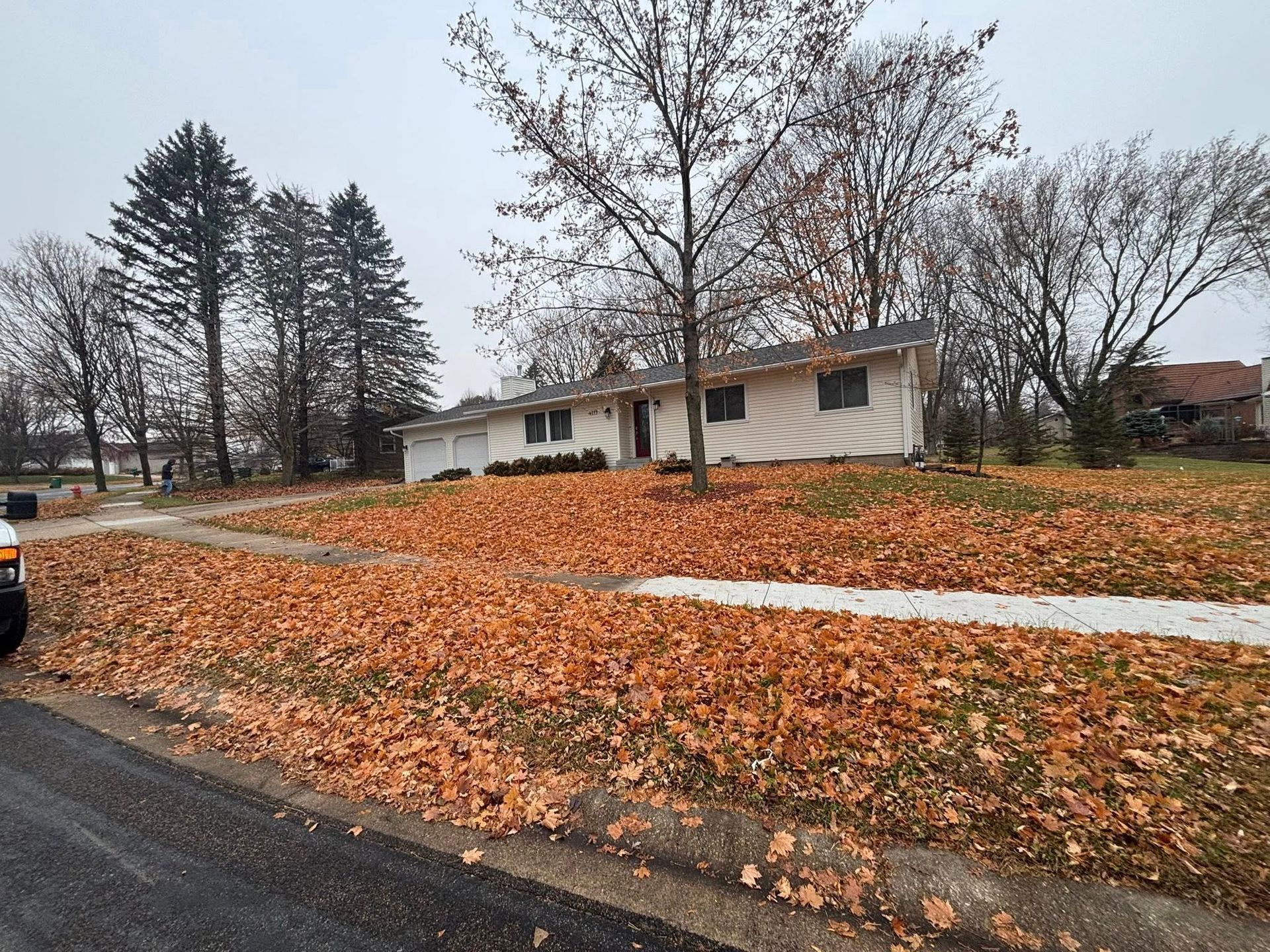 Suburban house with bare trees and a yard covered in orange autumn leaves beside a road