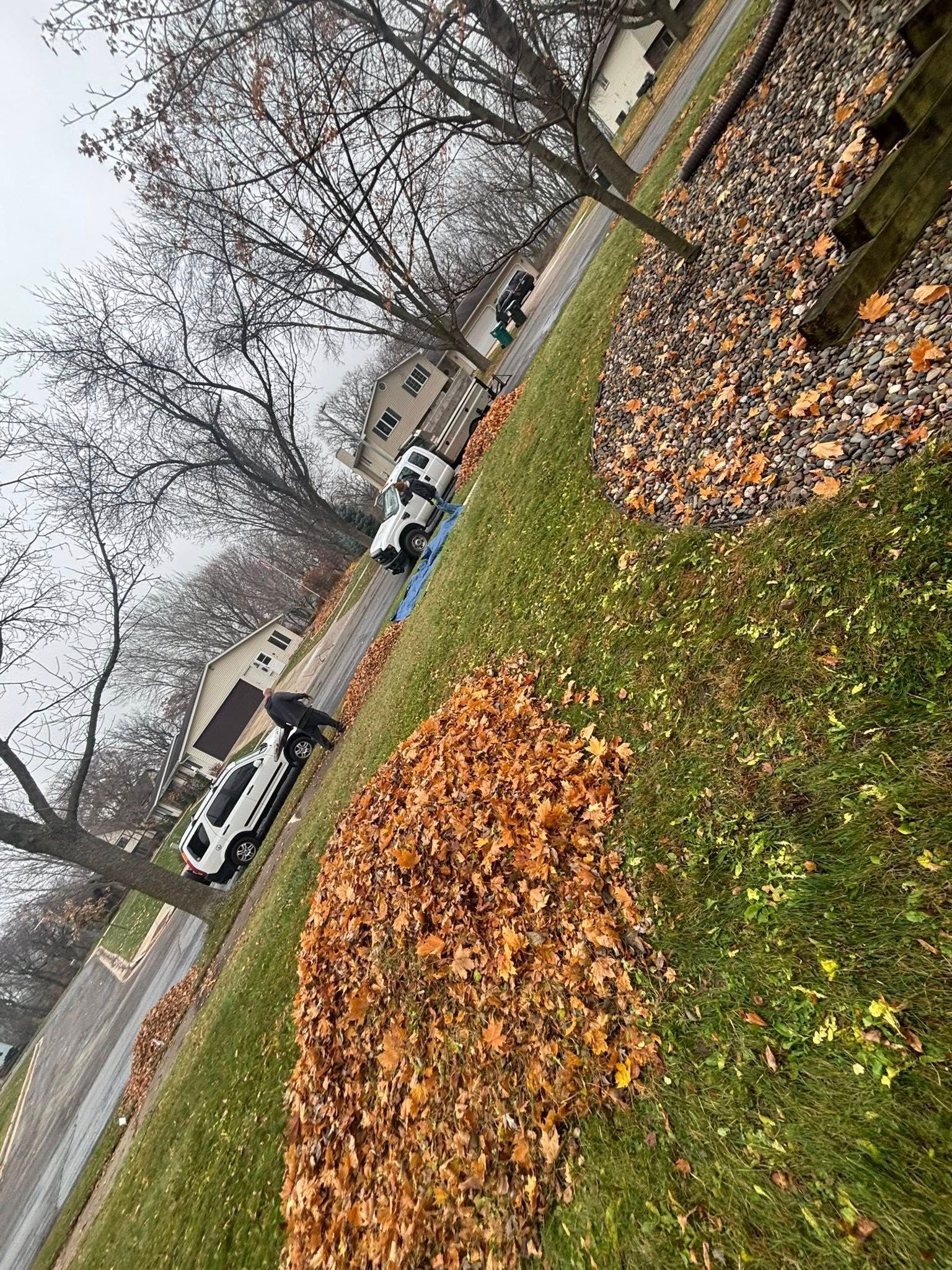 Tilted view of a leaf-covered lawn with parked cars and bare trees along a suburban street.