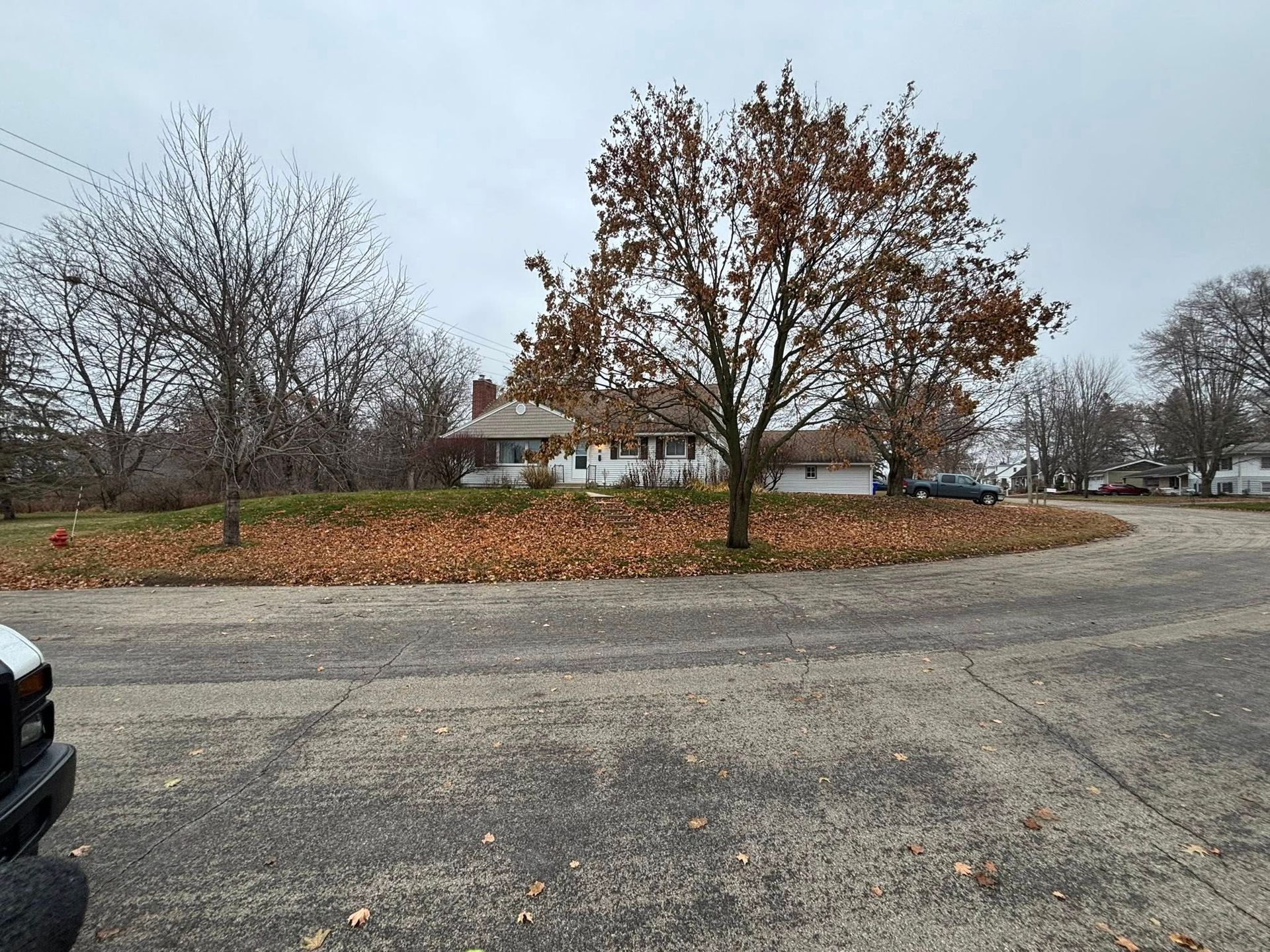 Rural driveway with a white house, bare trees, and a large brown-leaved tree under a cloudy sky