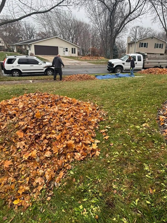 Worker raking a large leaf pile in a suburban yard beside parked vehicles on a cloudy day