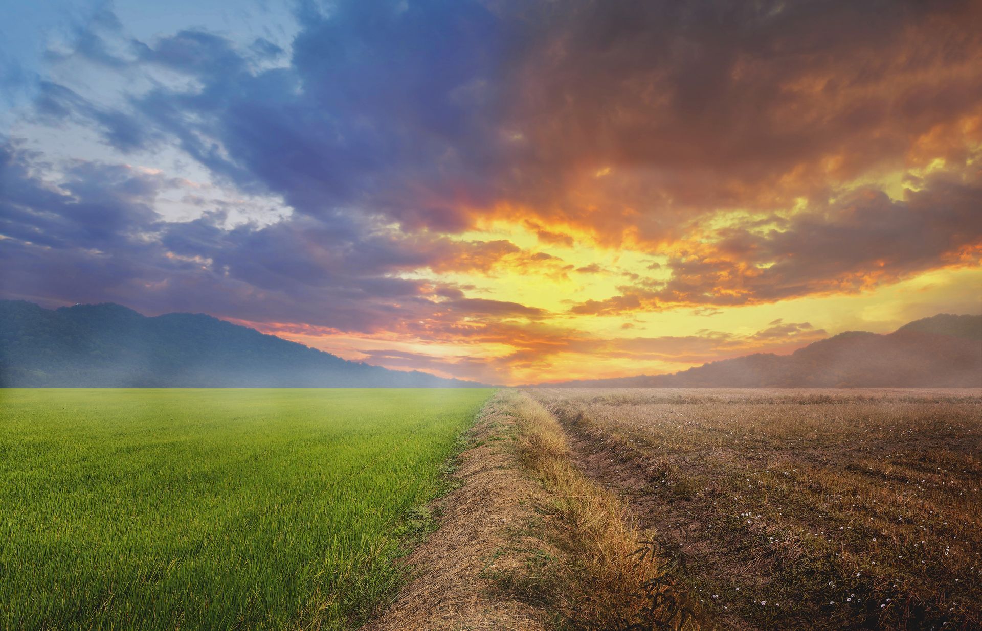 A lush grassland stands beside a dying wasteland. This is the same landscape reflected as if by a mirror.