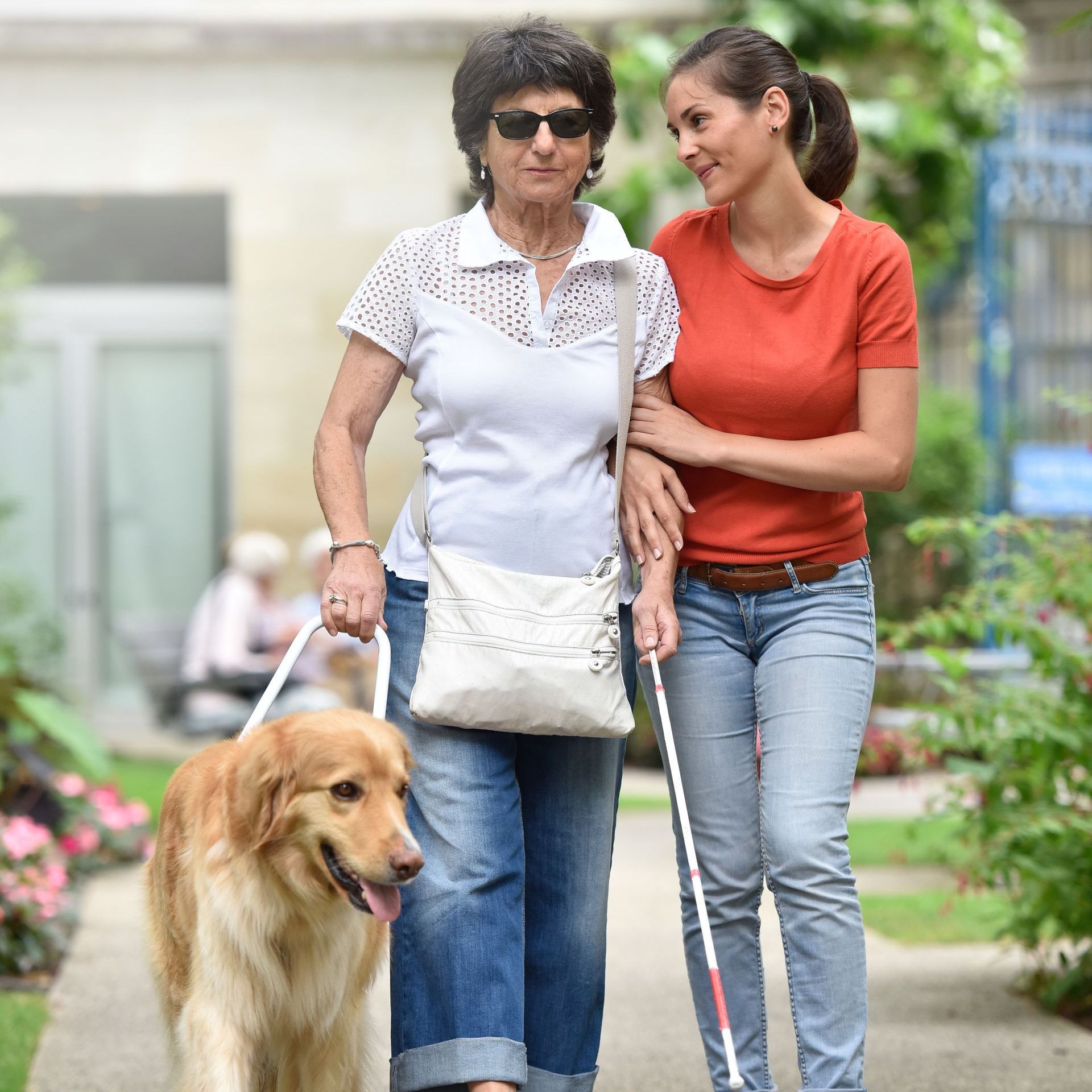(Walking Stick Is Not A Leash) A frowning woman with sight loss attempts to walk forward using her guide dog and white cane, but a passerby has her restricted by the arm.