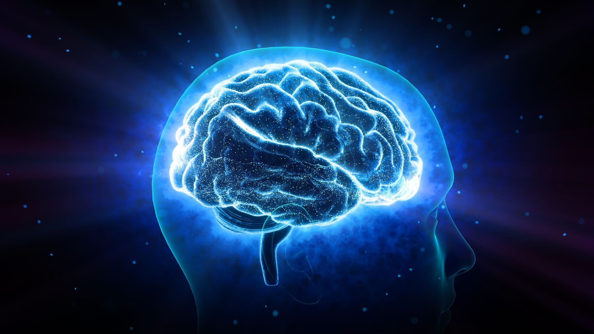 An illustrated brain glows from tiny lights symbolising its neural connections.
