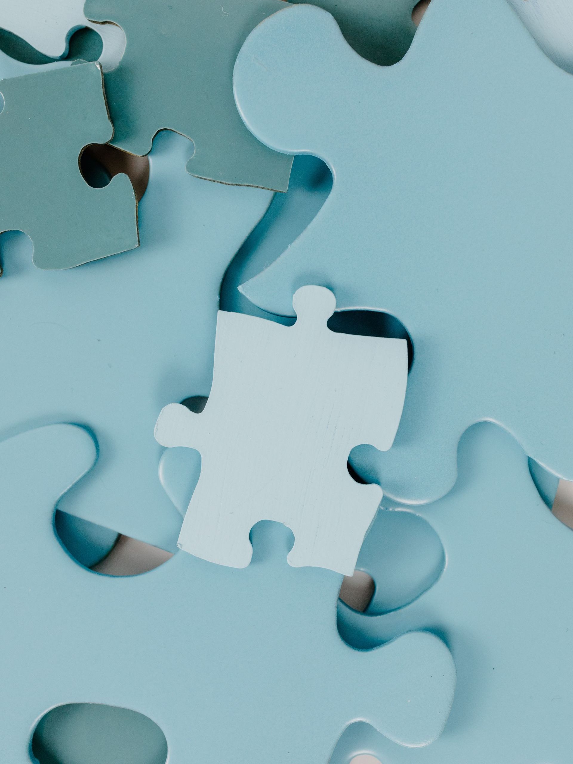 A collection of puzzle pieces in a variety of sizes.