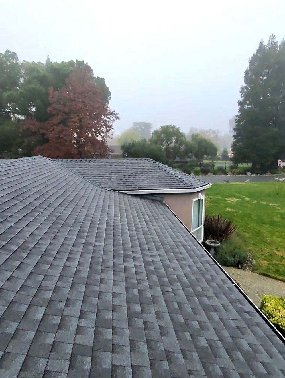 Gray shingle roof of a house with trees and fog in the background.