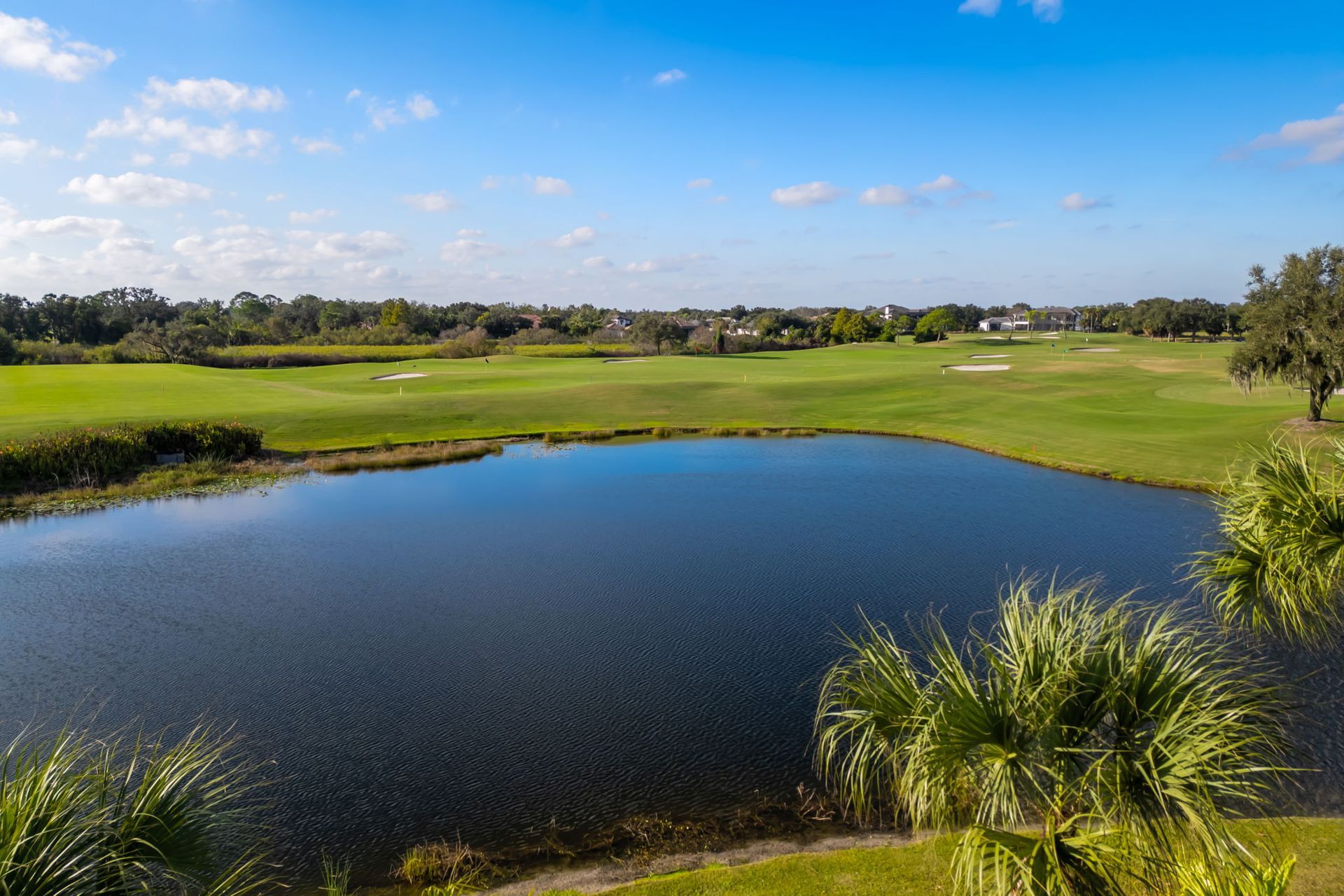 Scenic golf course with a blue pond, green fairway, and clear sky