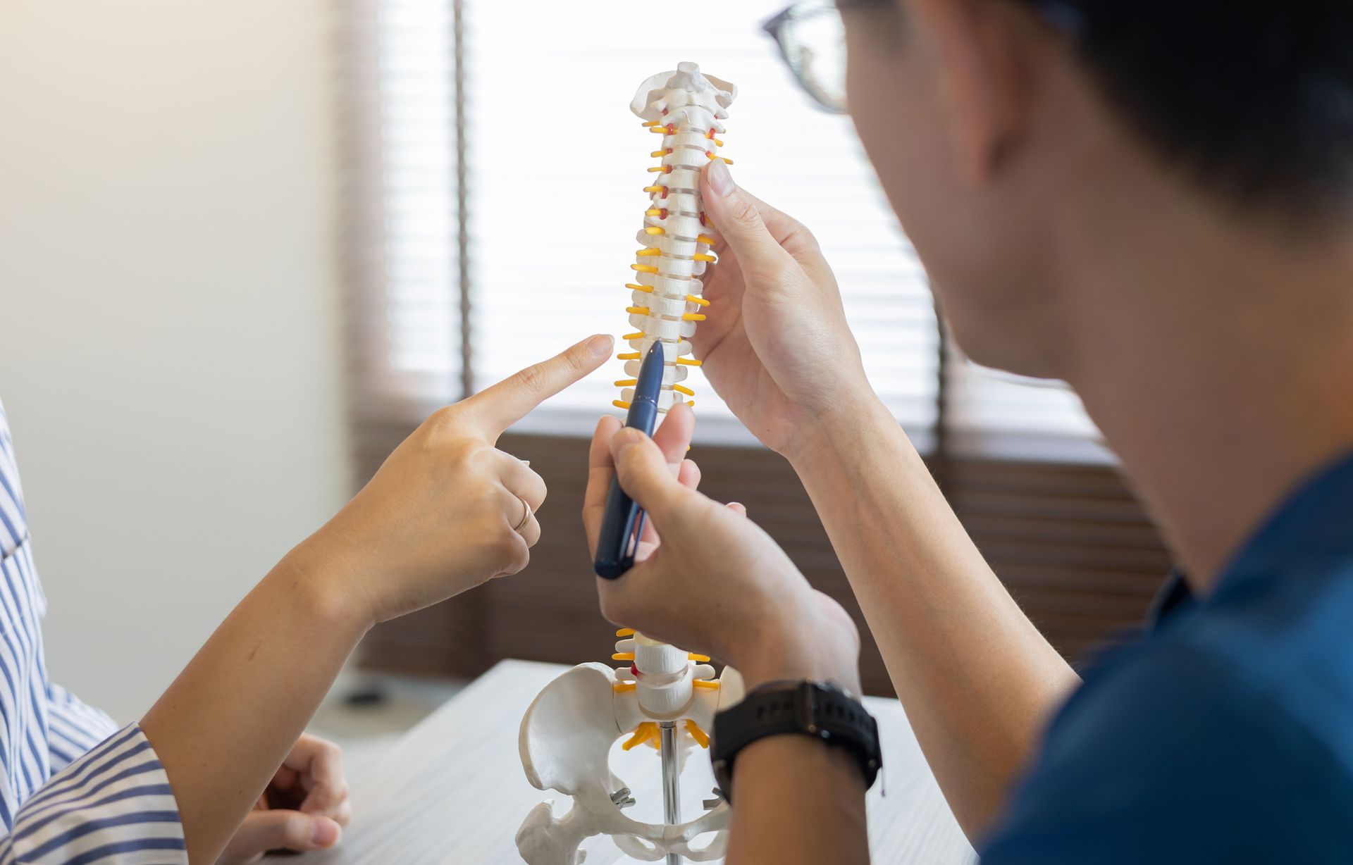 Two people examine a spine model, one pointing with a pen.