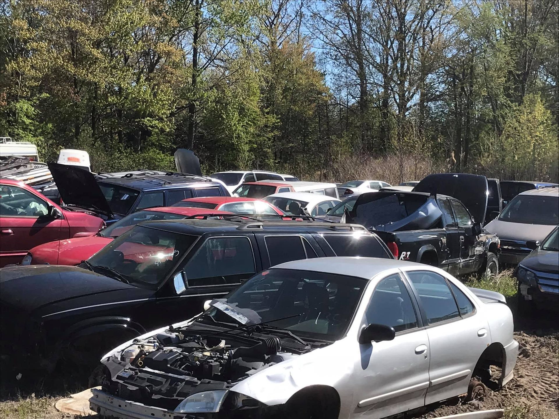 Rows of damaged cars in a junkyard, with trees in the background.