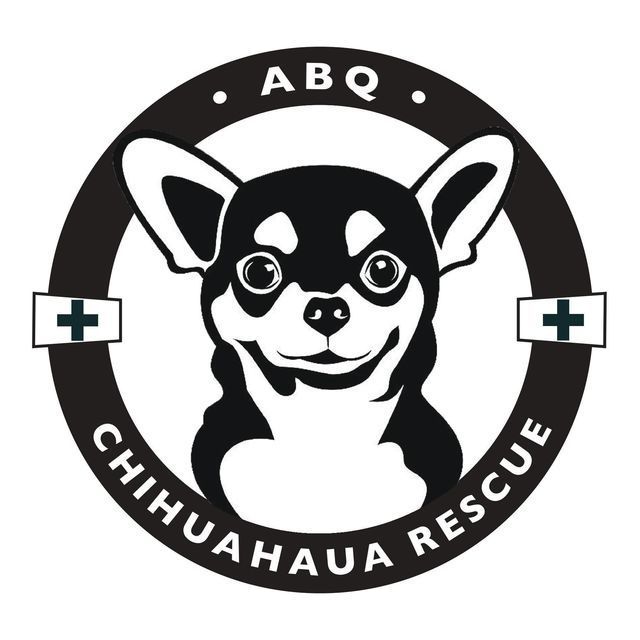 ABQ Chihuahua Rescue