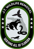 J.T. Wildlife Removal