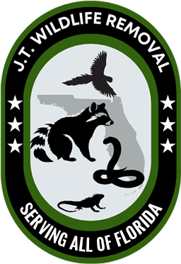 J.T. Wildlife Removal J.T. Wildlife Removal