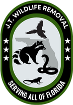 J.T. Wildlife Removal J.T. Wildlife Removal