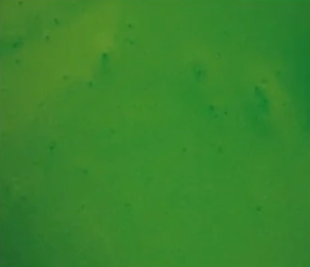 apple green