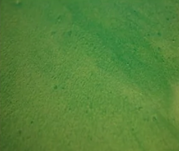 gold green