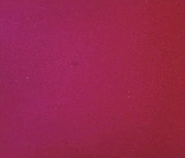 rose red