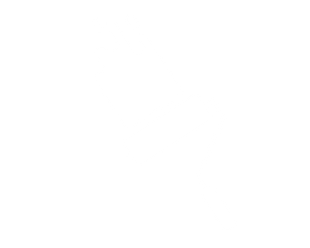 black paint roller