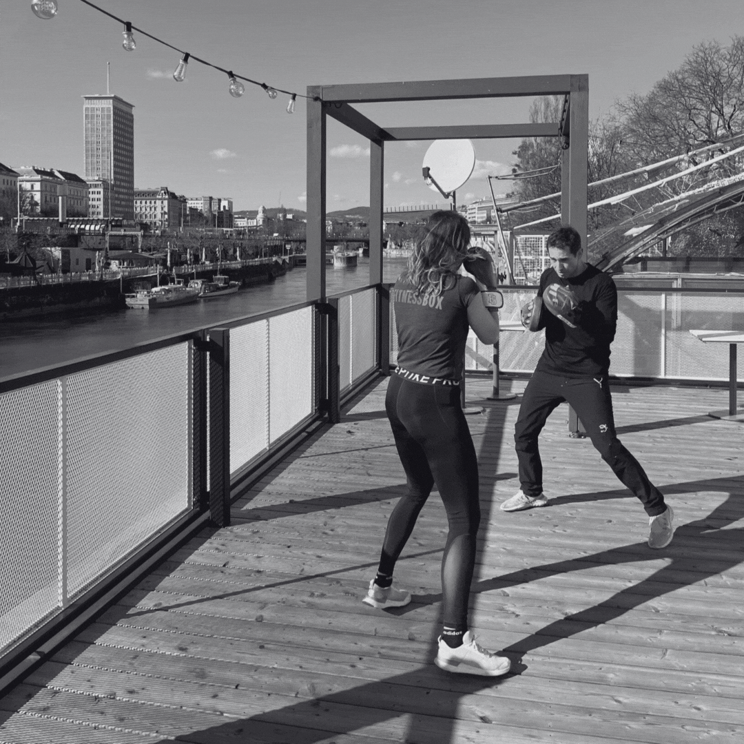 Jetzt anmelden Gif Boxen