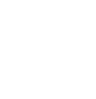 Apfel Icon