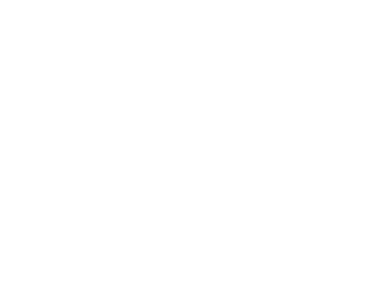 Maxerl Icon