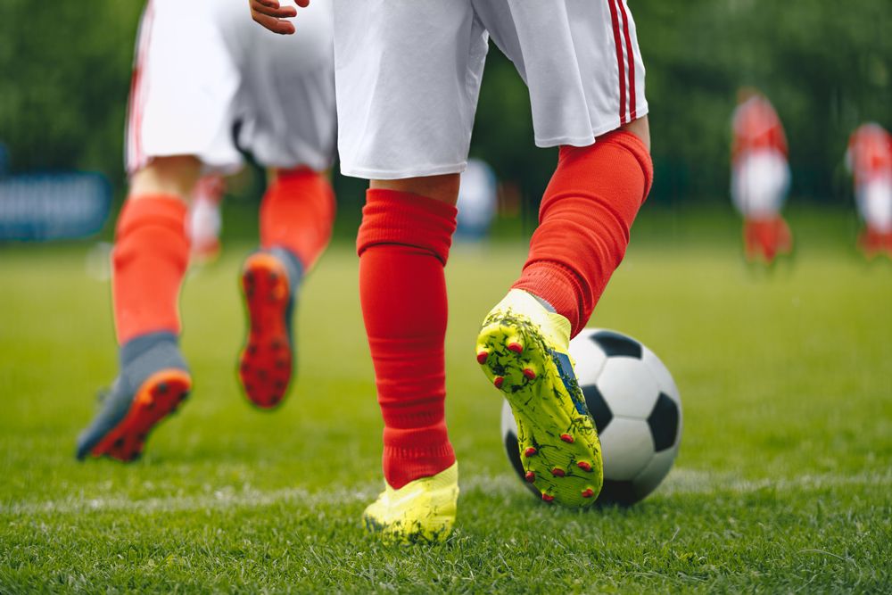 Turf Supplier Newcastle, NSW Affordable Mr Buffalo