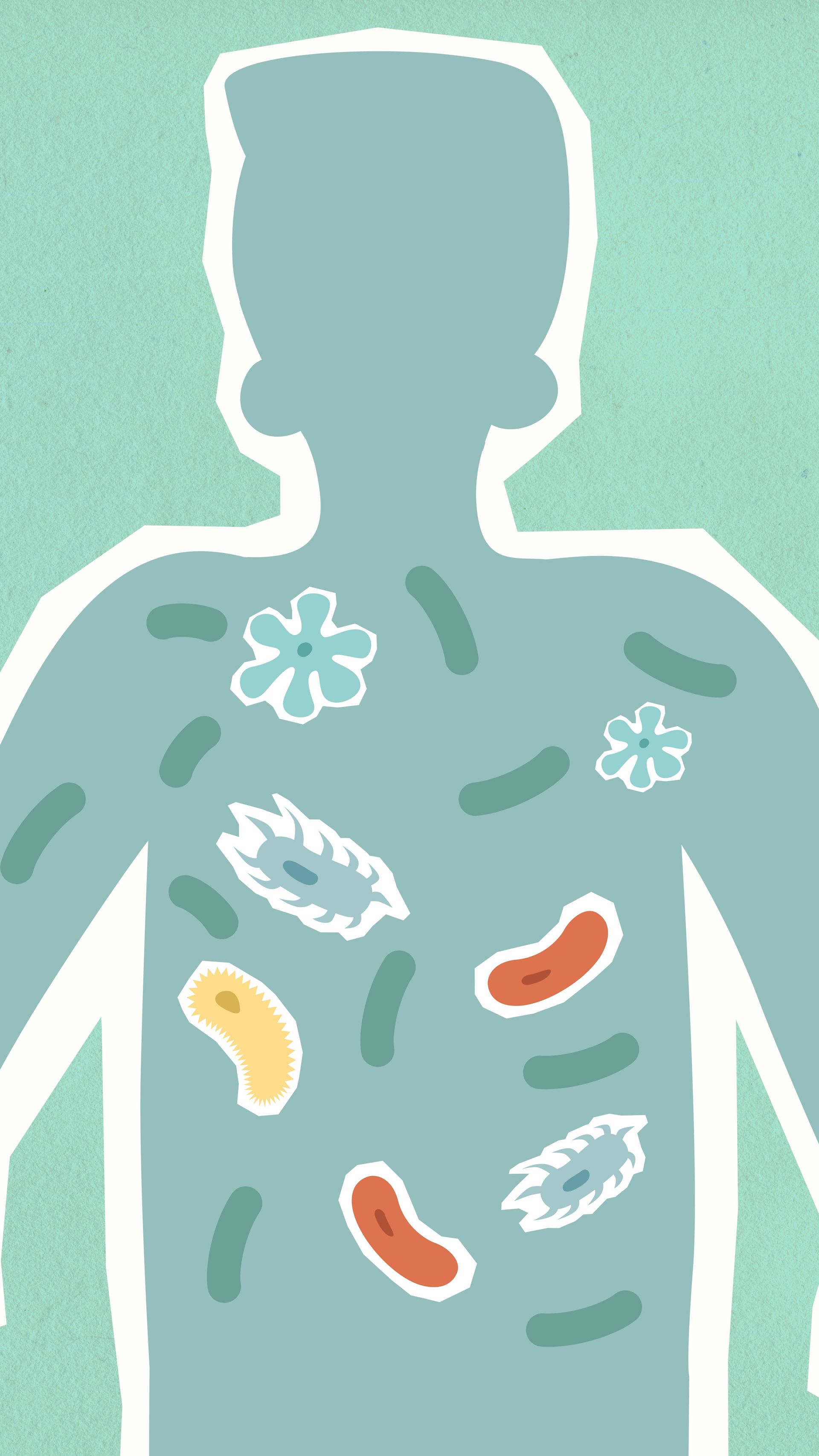 A silhouette of a human torso on a light green background, populated by various colorful microbe and floral icons.