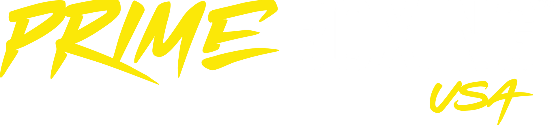 Prime Boxing USA Logo