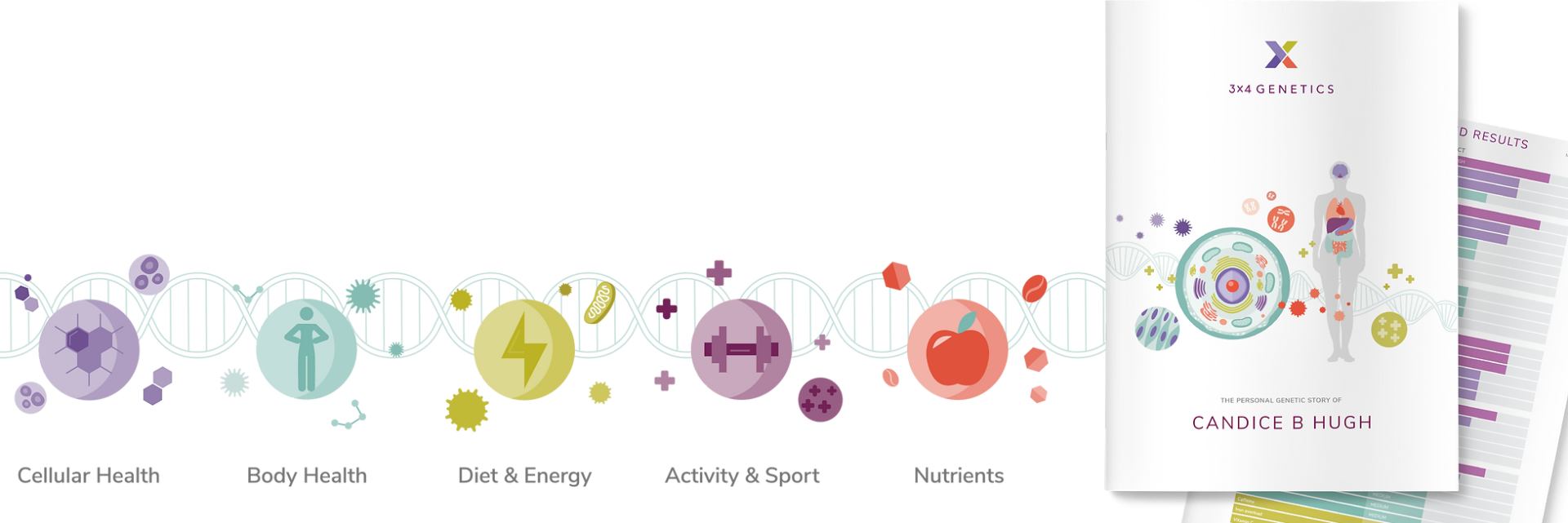 Infographic: health and wellness with colorful icons on a DNA strand, next to a brochure.