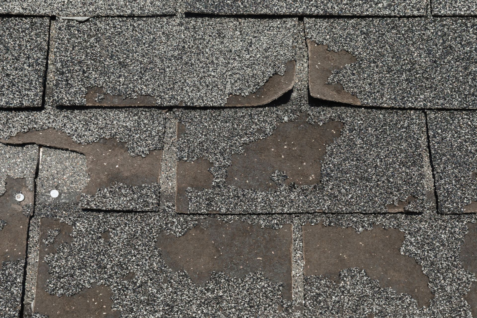 Asphalt shingle residential roof tarped for wind damage in Atlanta, Georgia.