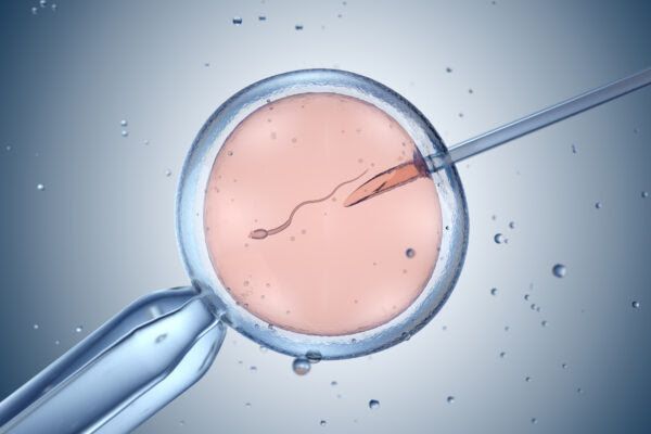 Microscopic view of sperm being injected into an egg during IVF