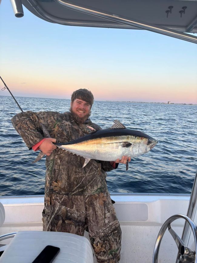 Person on a boat holding a large fish at sunset over the ocean.