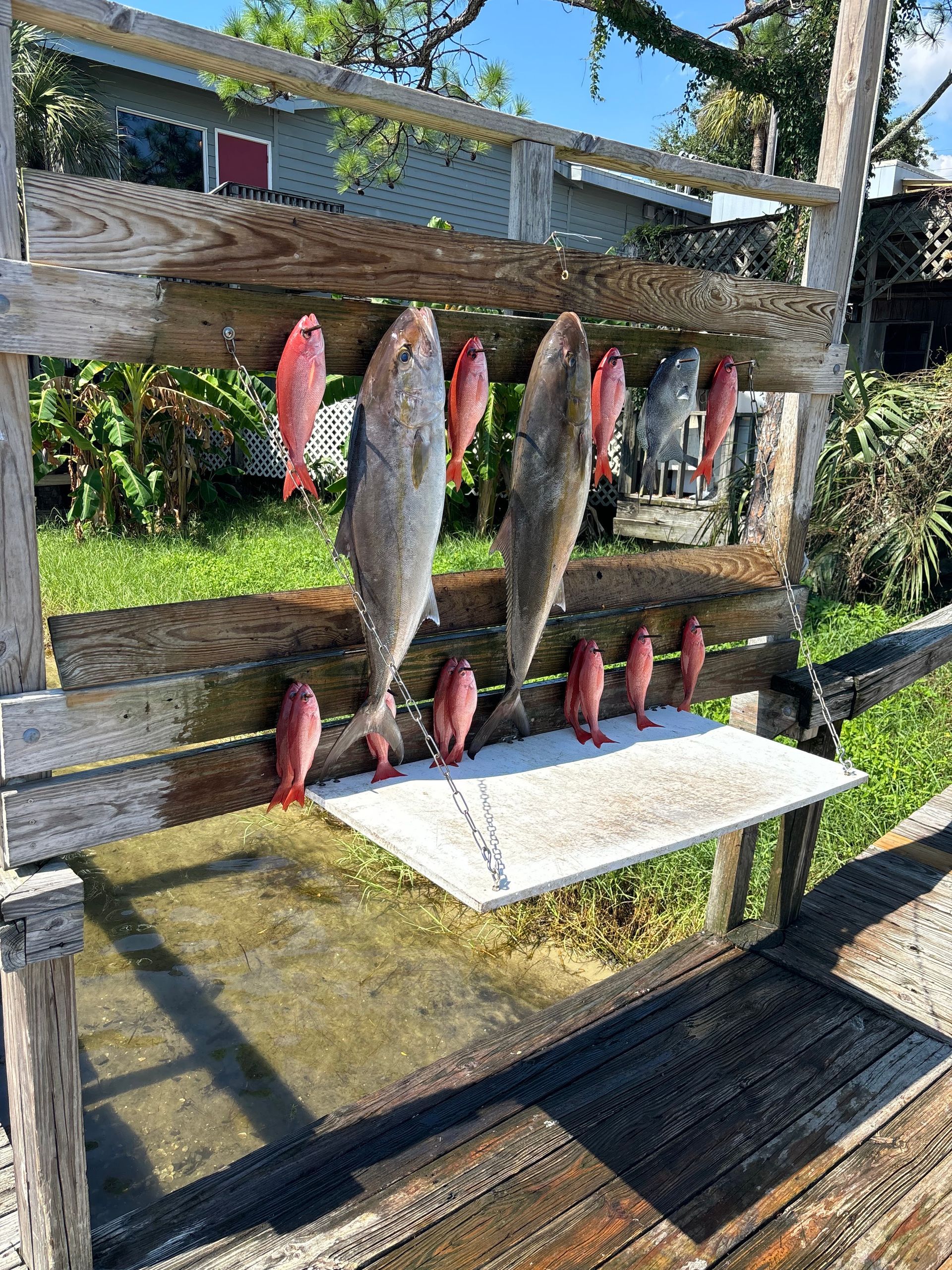 Fresh fish hanging on a wooden outdoor rack, with a cutting board below and a house in the background